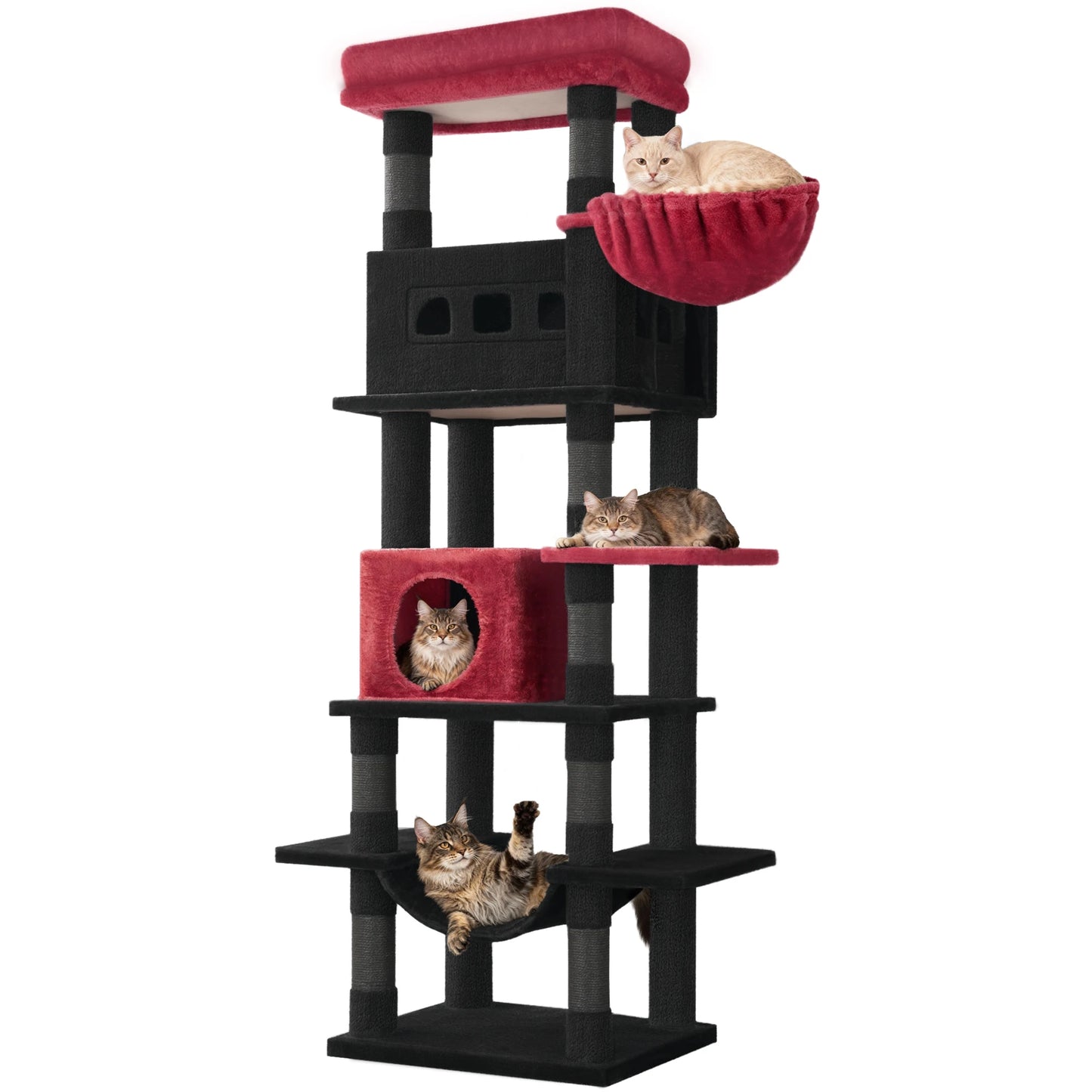 Arbre à chat XXL 170 cm — multi-plateformes pour grandes races