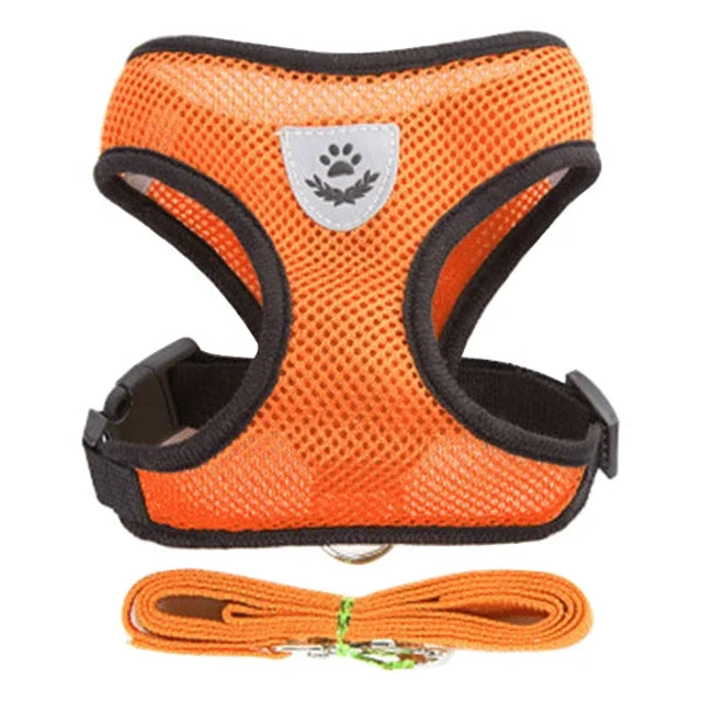 Harnais gilet polyester avec laisse — léger et ajustable pour chat