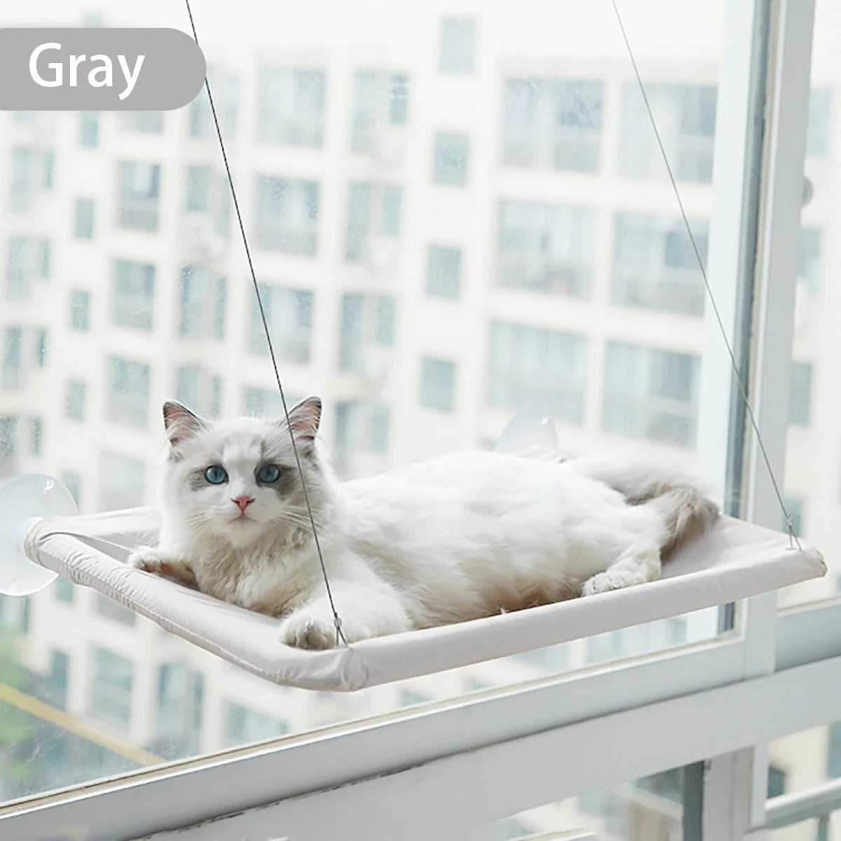 Hamac fenêtre renforcé pour chat — jusqu'à 20 kg