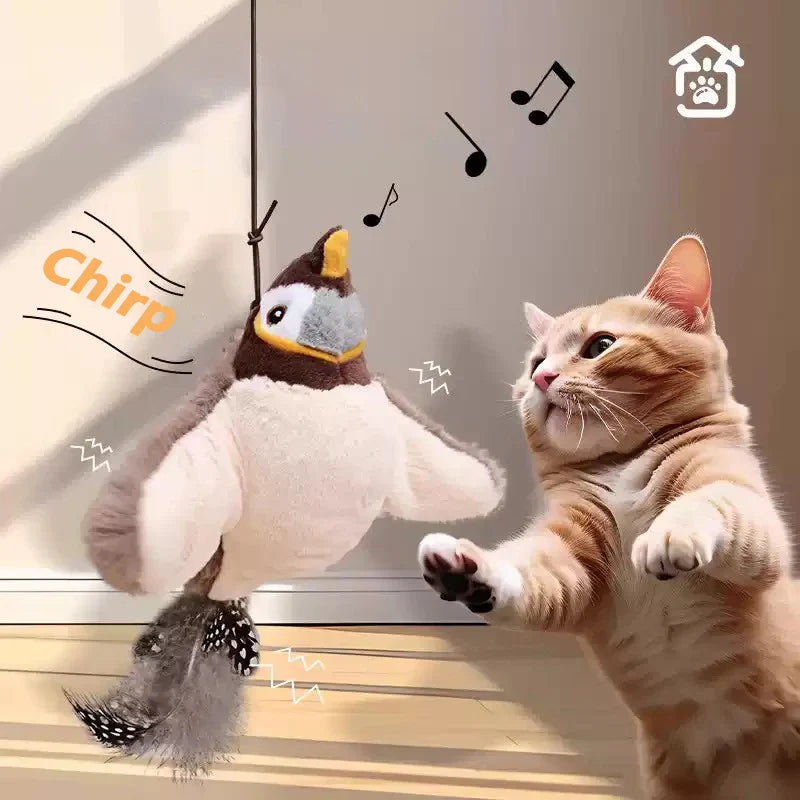Jouets