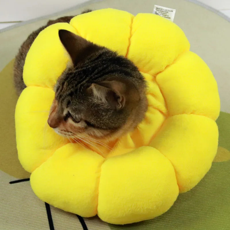 Collerette chat tournesol douce — anti-léchage post-opération