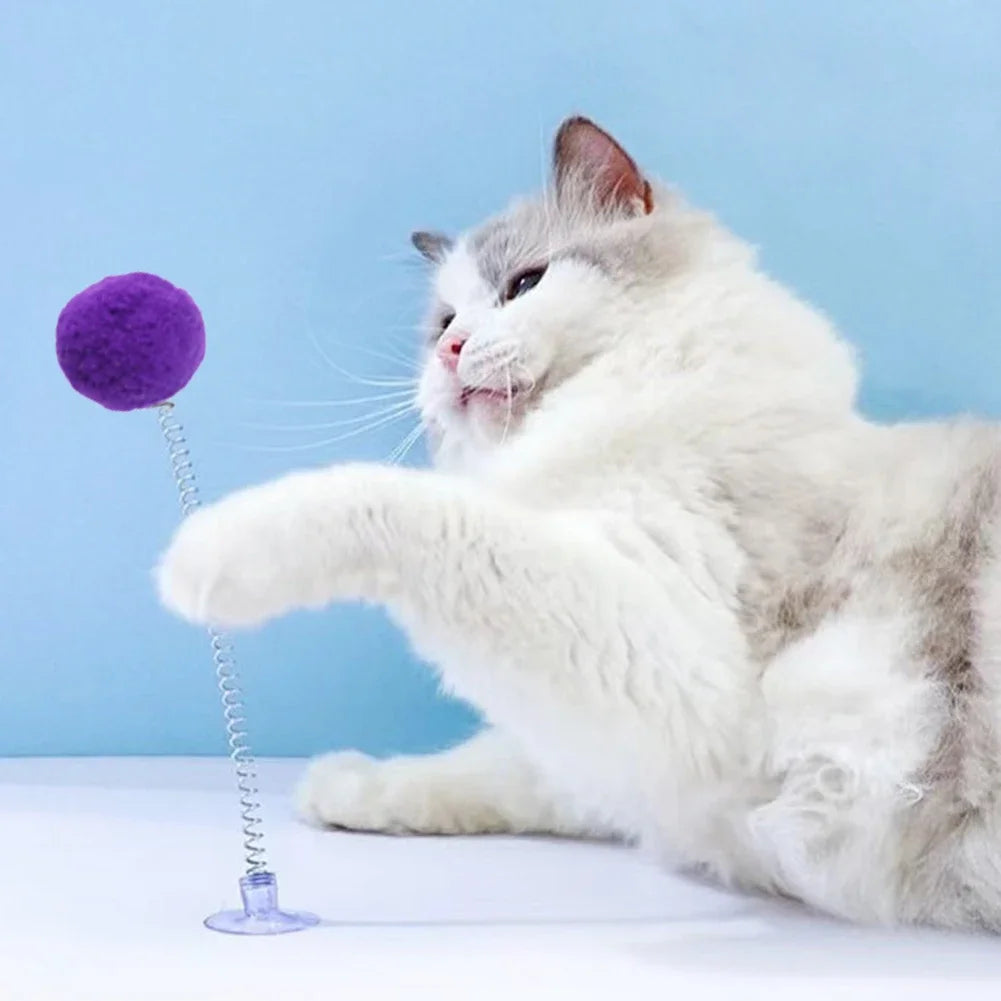 Jouet ressort à ventouse avec pompon — jeu autonome pour chat