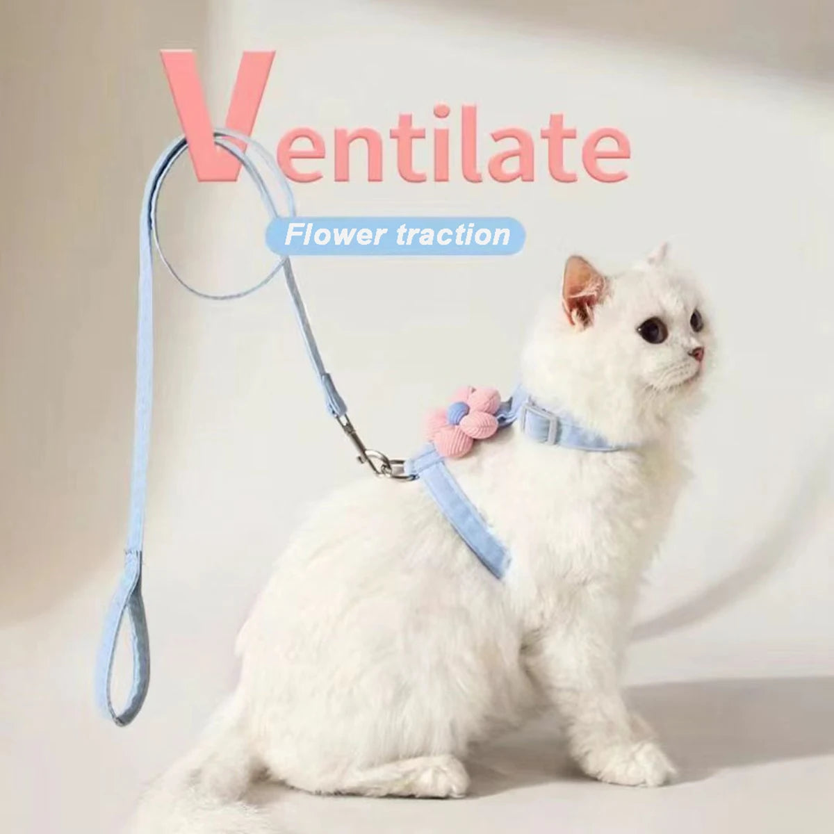 Kit harnais et laisse assortis pour chat