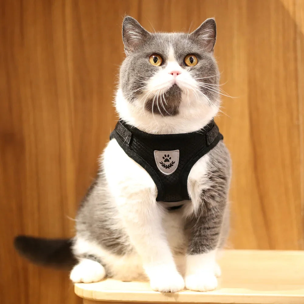 Harnais mesh réfléchissant avec laisse — ajustable pour chat