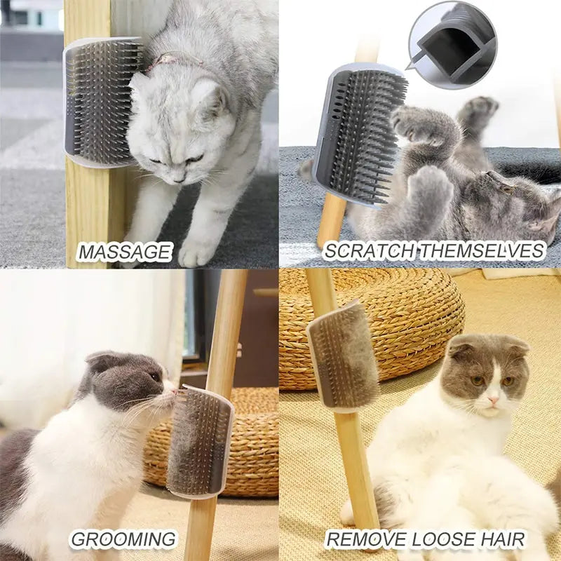 Brosse d'angle auto-massage pour chat