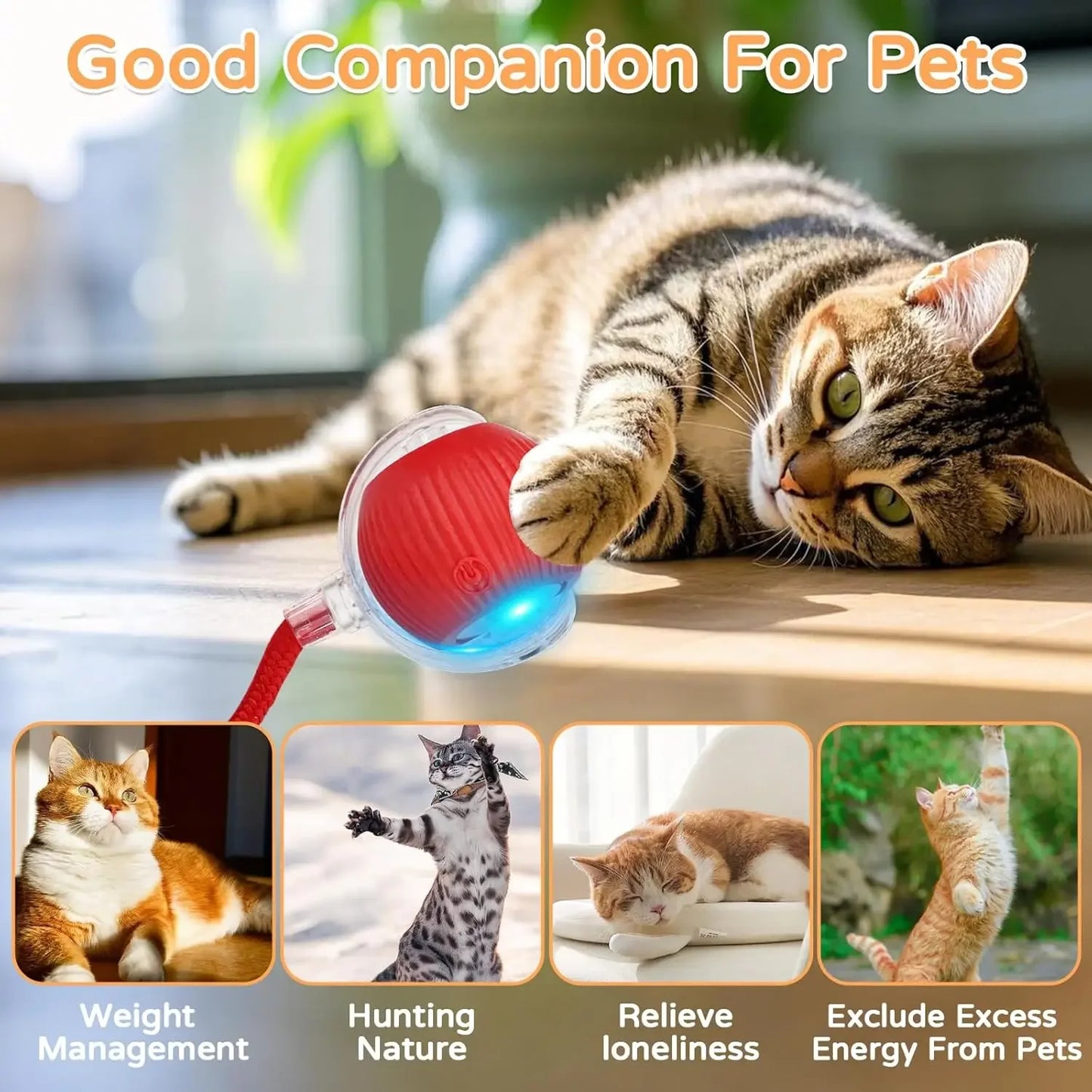 Balle électronique interactive rechargeable pour chat