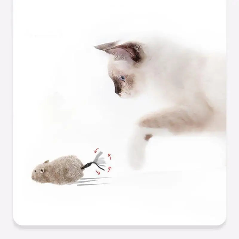 Souris en peluche réaliste pour chat