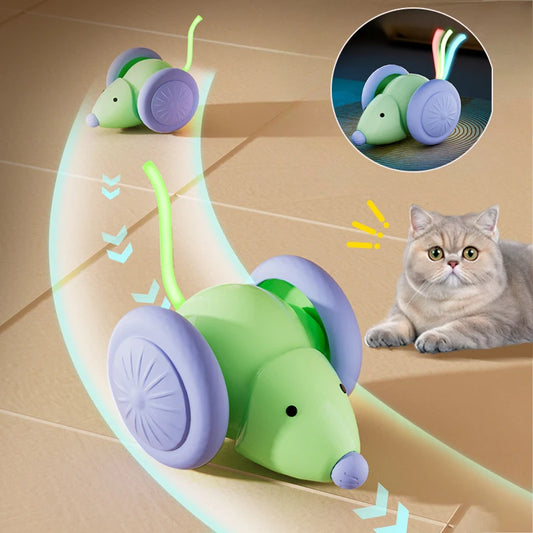 Voiture-souris électrique rechargeable — jouet interactif pour chat