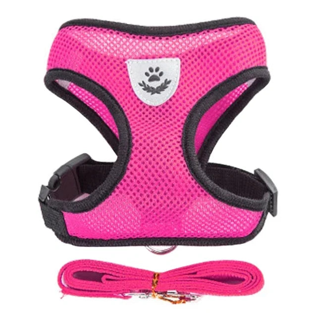 Harnais gilet polyester avec laisse — léger et ajustable pour chat