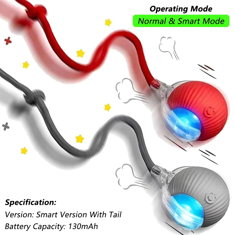Balle électronique interactive rechargeable pour chat