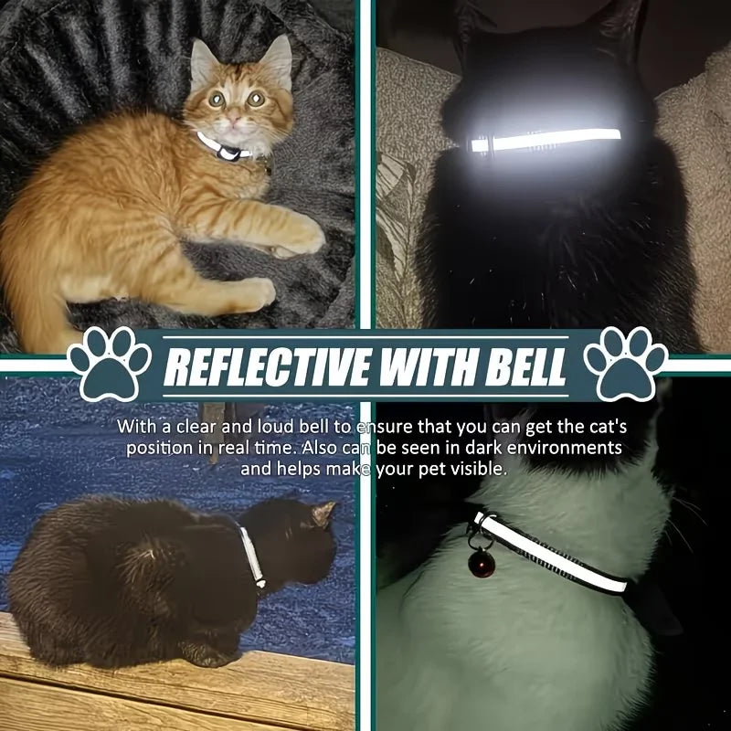 Traceur GPS pour chat — localisation temps réel compatible iOS