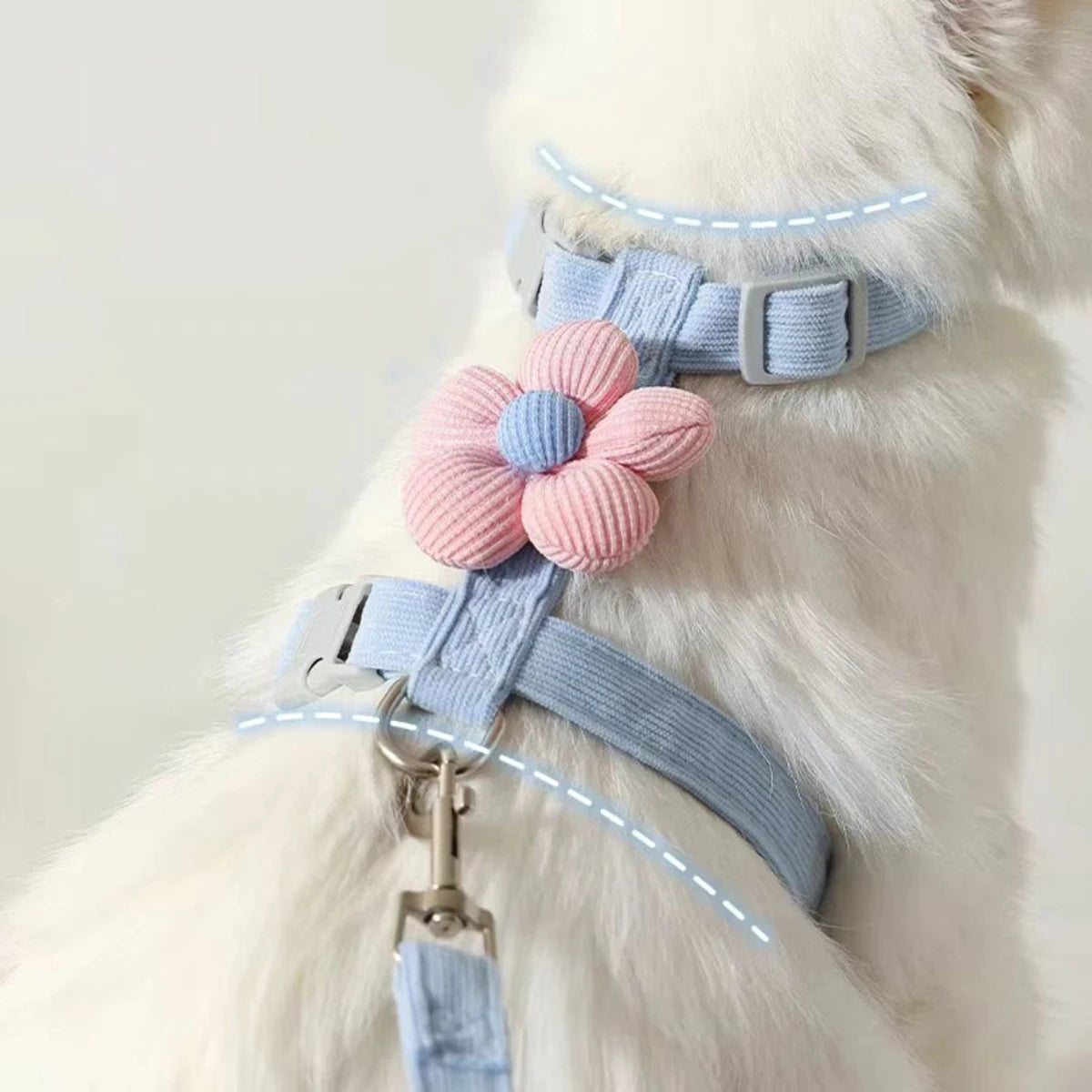 Kit harnais et laisse assortis pour chat