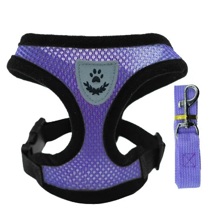 Harnais gilet polyester avec laisse — léger et ajustable pour chat