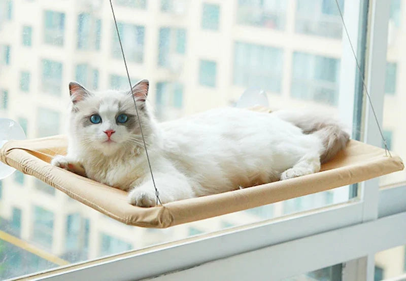 Hamac fenêtre renforcé pour chat — jusqu'à 20 kg