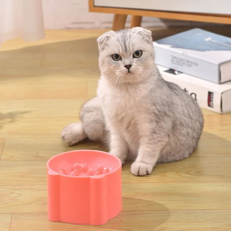 Gamelle haute anti-fausse route — posture protégée pour chat