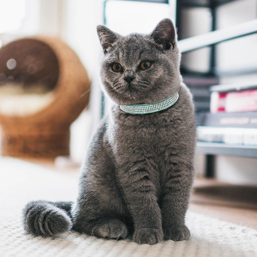 Collier chat rose suédine — strass & grelot sécurisé