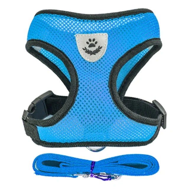 Harnais gilet polyester avec laisse — léger et ajustable pour chat