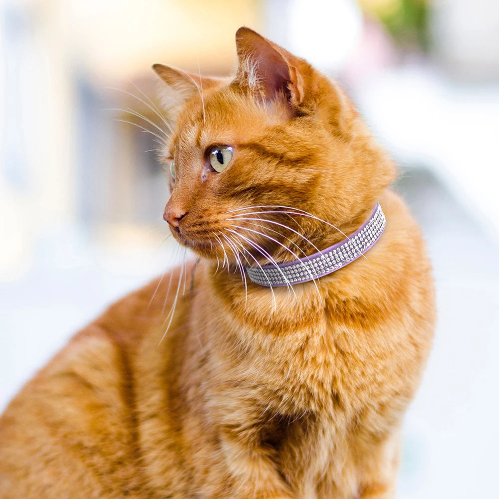 Collier chat rose suédine — strass & grelot sécurisé