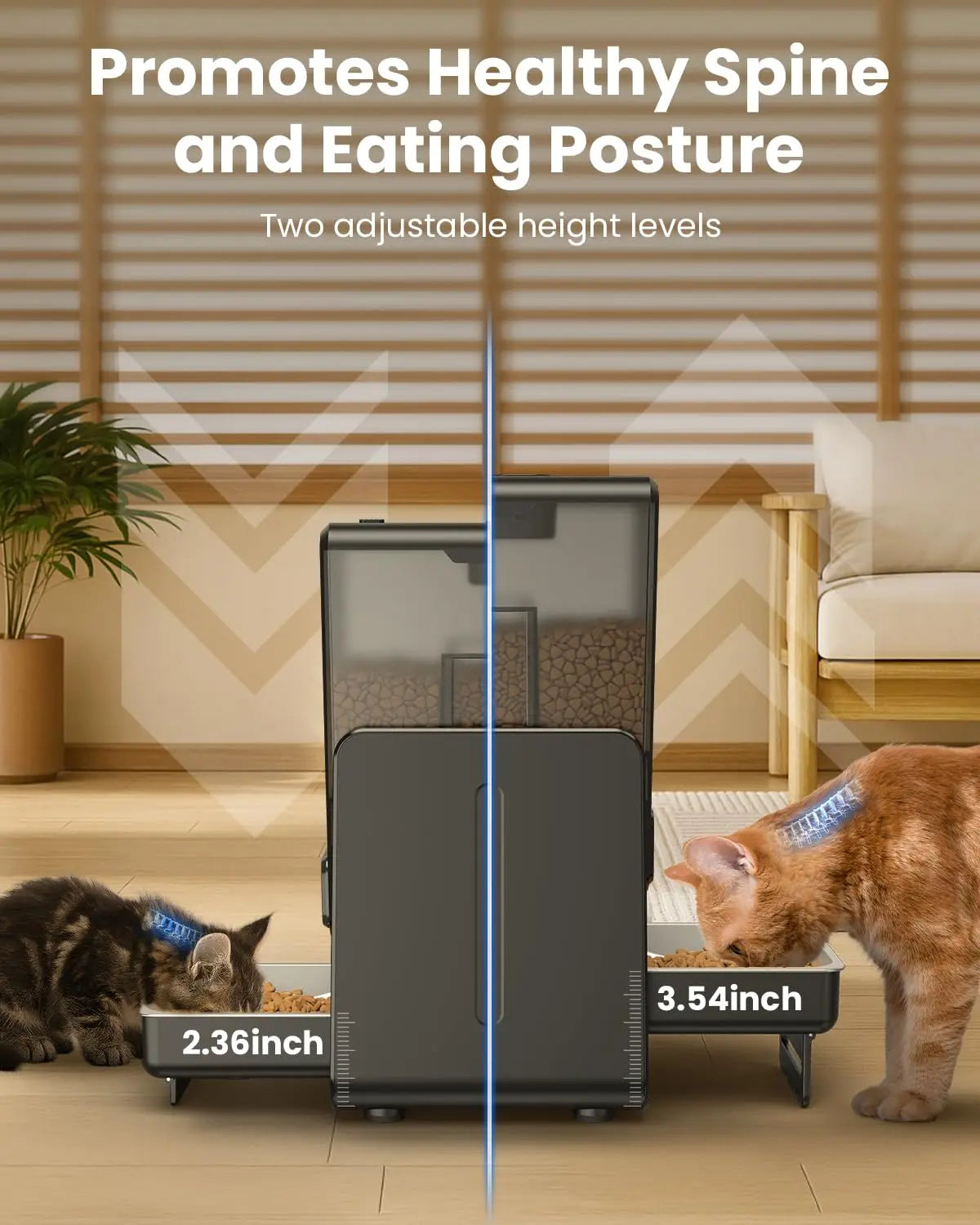 Distributeur automatique WiFi 5G double bol — 5L pour 2 chats