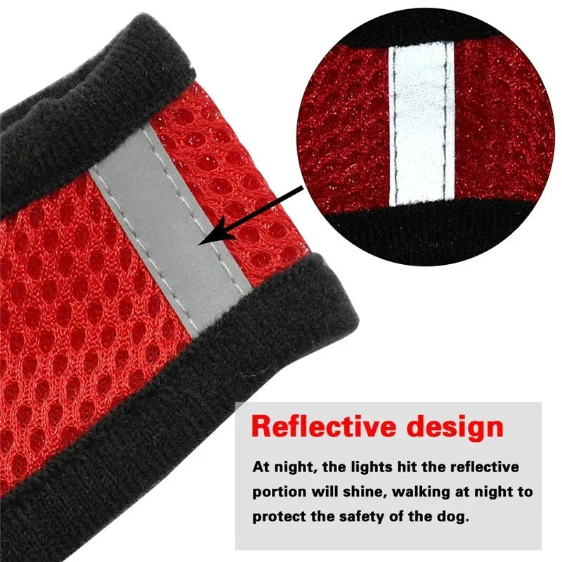 Harnais gilet polyester avec laisse — léger et ajustable pour chat