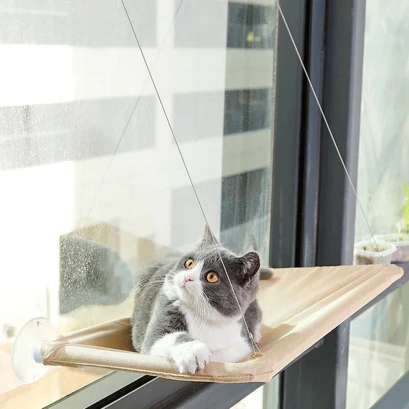 Hamac fenêtre renforcé pour chat — jusqu'à 20 kg