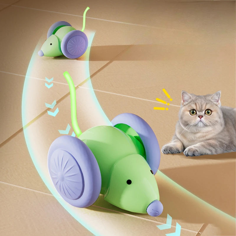 Voiture-souris électrique rechargeable — jouet interactif pour chat
