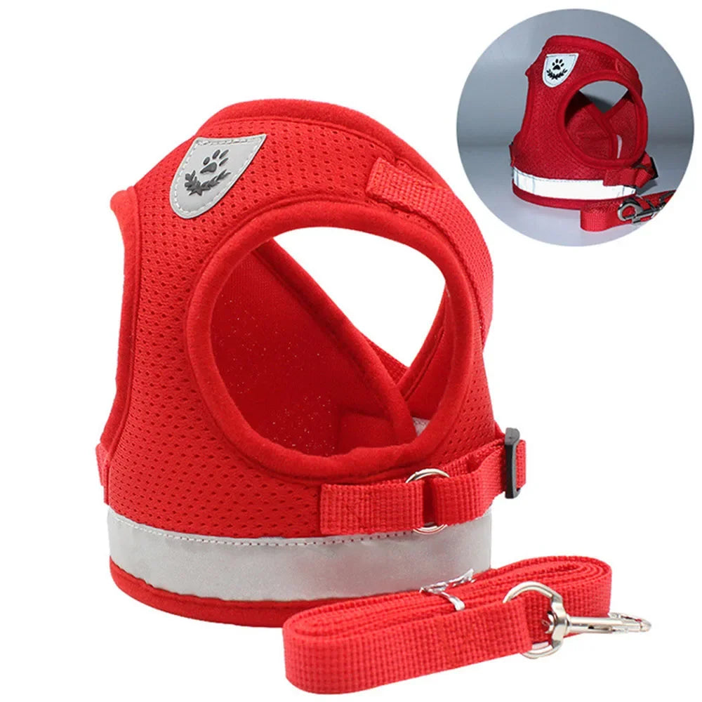 Harnais mesh réfléchissant avec laisse — ajustable pour chat