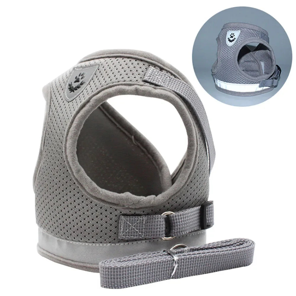 Harnais mesh réfléchissant avec laisse — ajustable pour chat