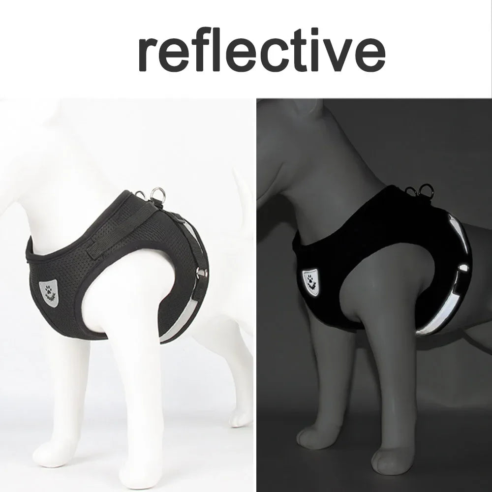 Harnais mesh réfléchissant avec laisse — ajustable pour chat
