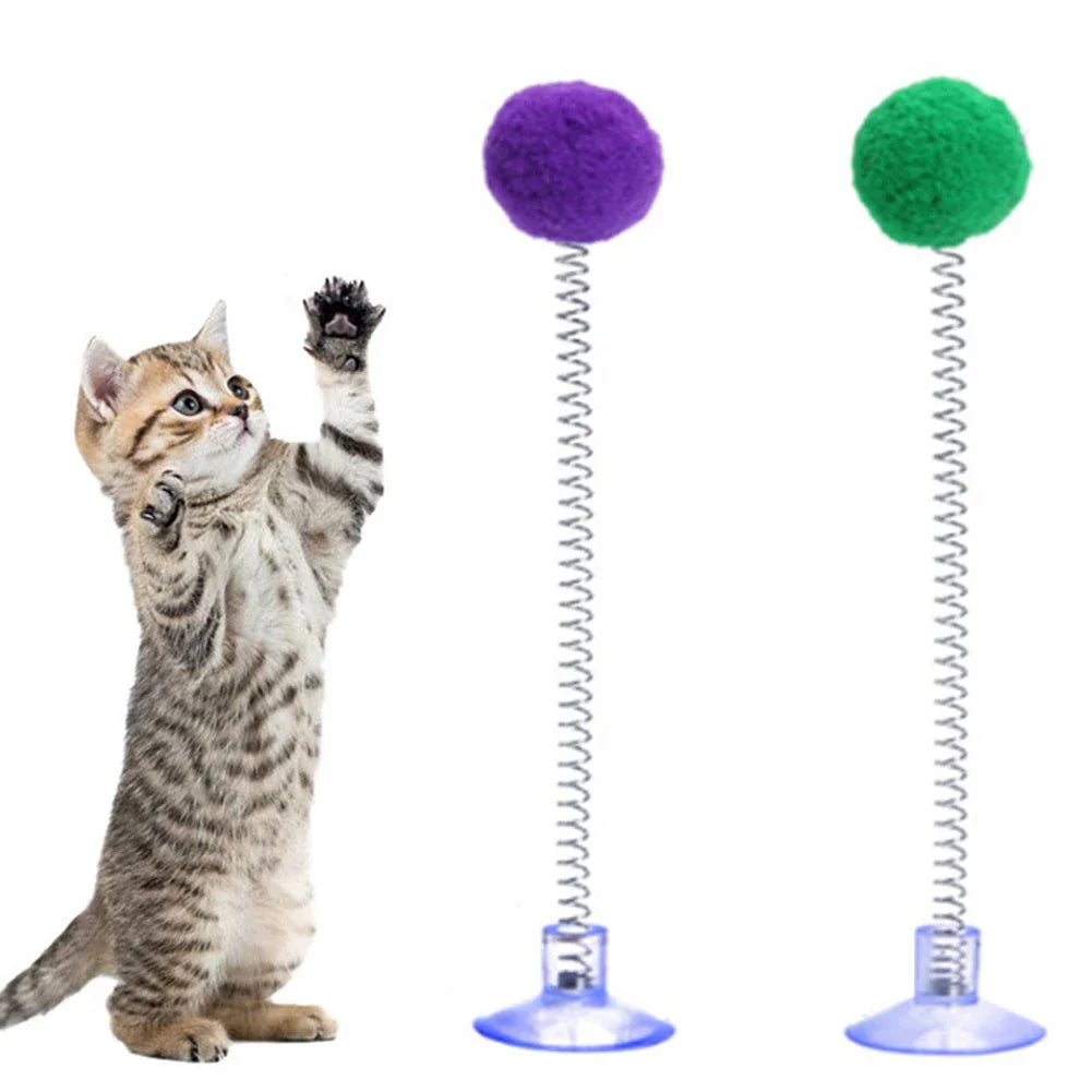 Jouet ressort à ventouse avec pompon — jeu autonome pour chat