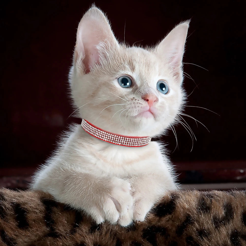 Collier chat rose suédine — strass & grelot sécurisé