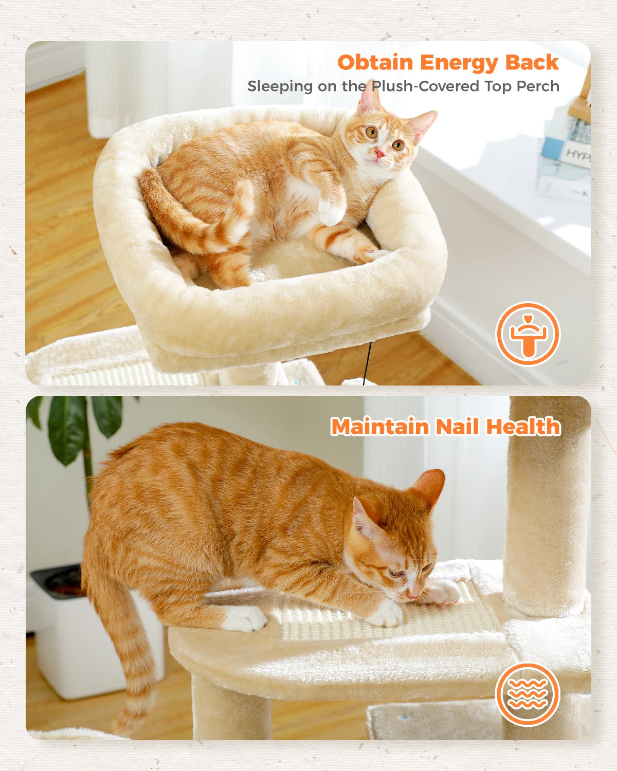 Arbre à chat 73 cm — hamac & griffoirs sisal pour chat d'intérieur