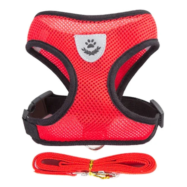Harnais gilet polyester avec laisse — léger et ajustable pour chat