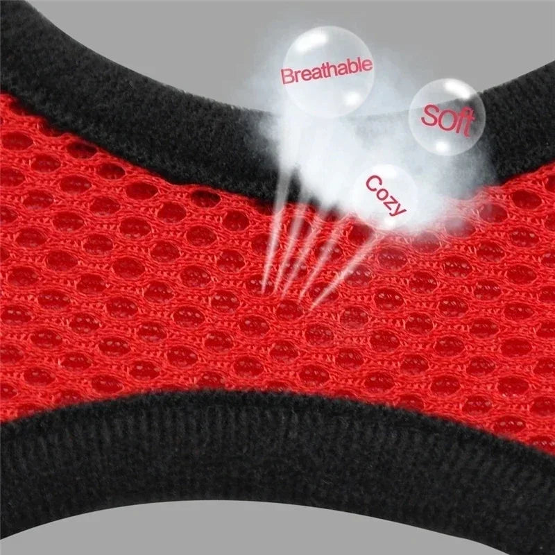 Harnais gilet polyester avec laisse — léger et ajustable pour chat