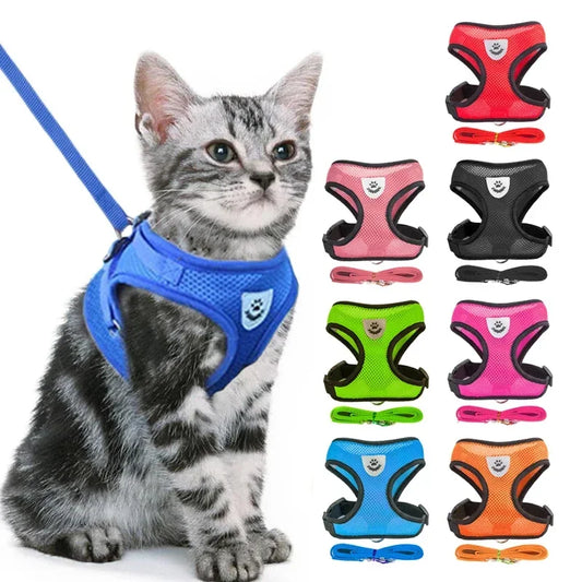 Harnais gilet polyester avec laisse — léger et ajustable pour chat