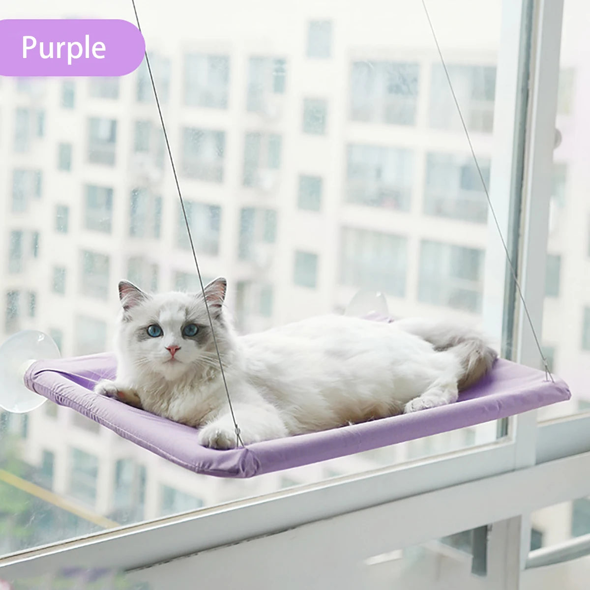 Hamac fenêtre renforcé pour chat — jusqu'à 20 kg