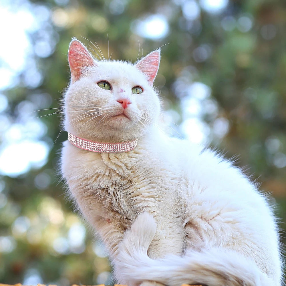 Collier chat rose suédine — strass & grelot sécurisé