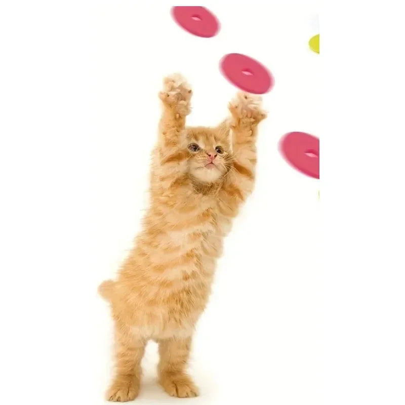 Pistolet navet + 15 frisbees en mousse pour chat