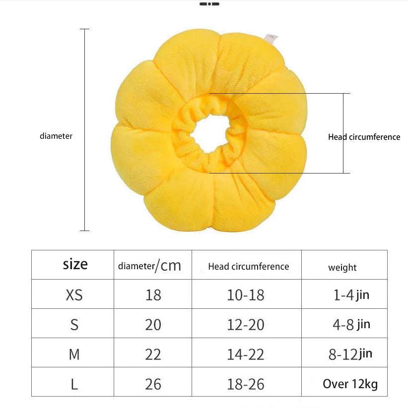 Collerette chat tournesol douce — anti-léchage post-opération