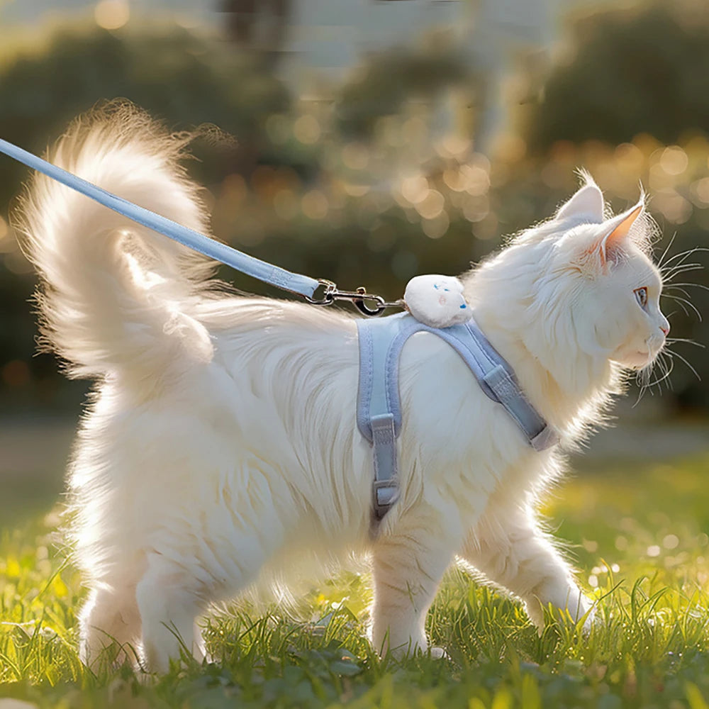 Harnais sac à dos peluche pour chat — escape-proof avec laisse