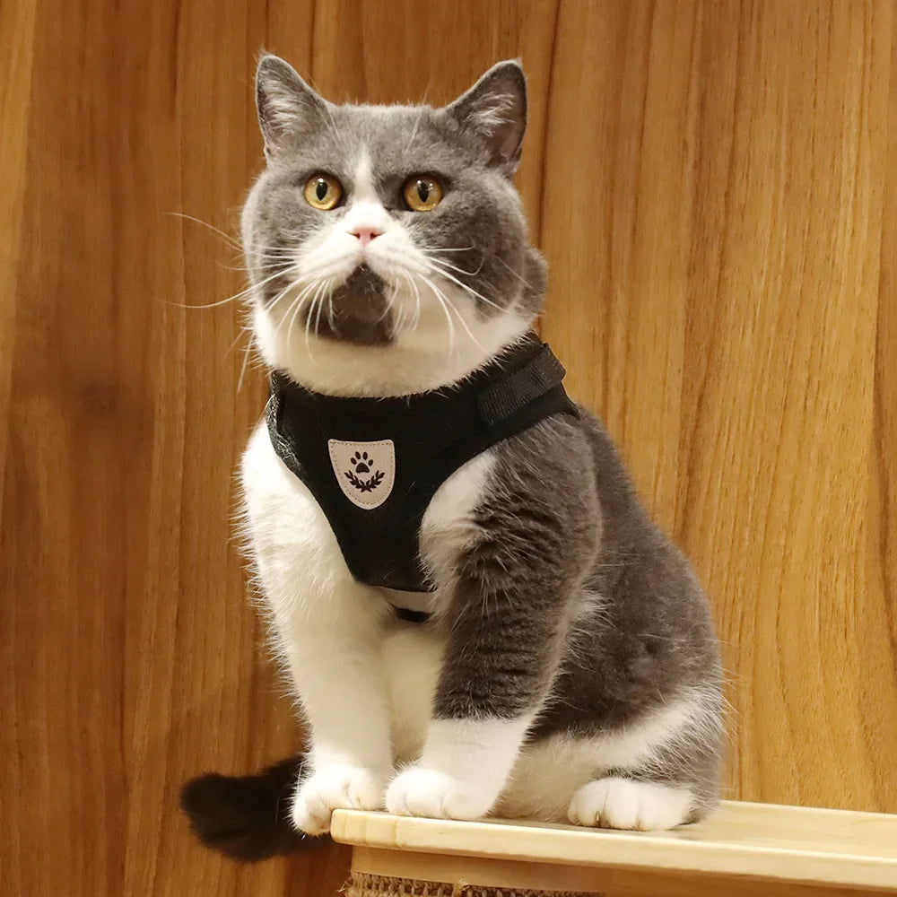 Harnais mesh réfléchissant avec laisse — ajustable pour chat