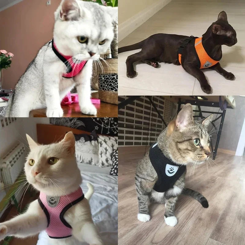 Harnais gilet polyester avec laisse — léger et ajustable pour chat