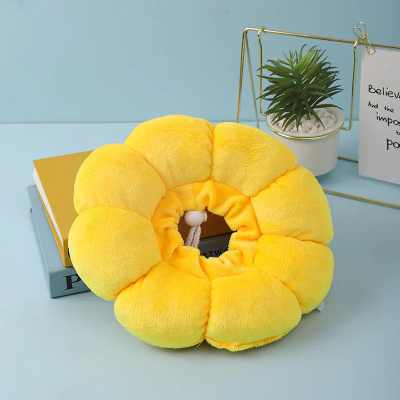 Collerette chat tournesol douce — anti-léchage post-opération
