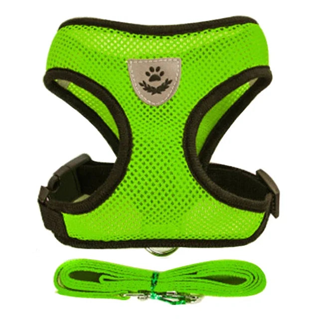 Harnais gilet polyester avec laisse — léger et ajustable pour chat