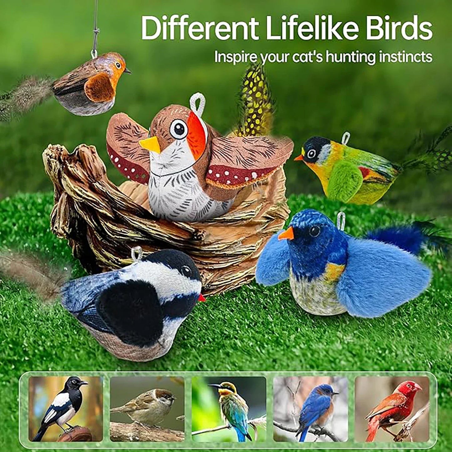Jouet oiseau interactif à accrocher au mur