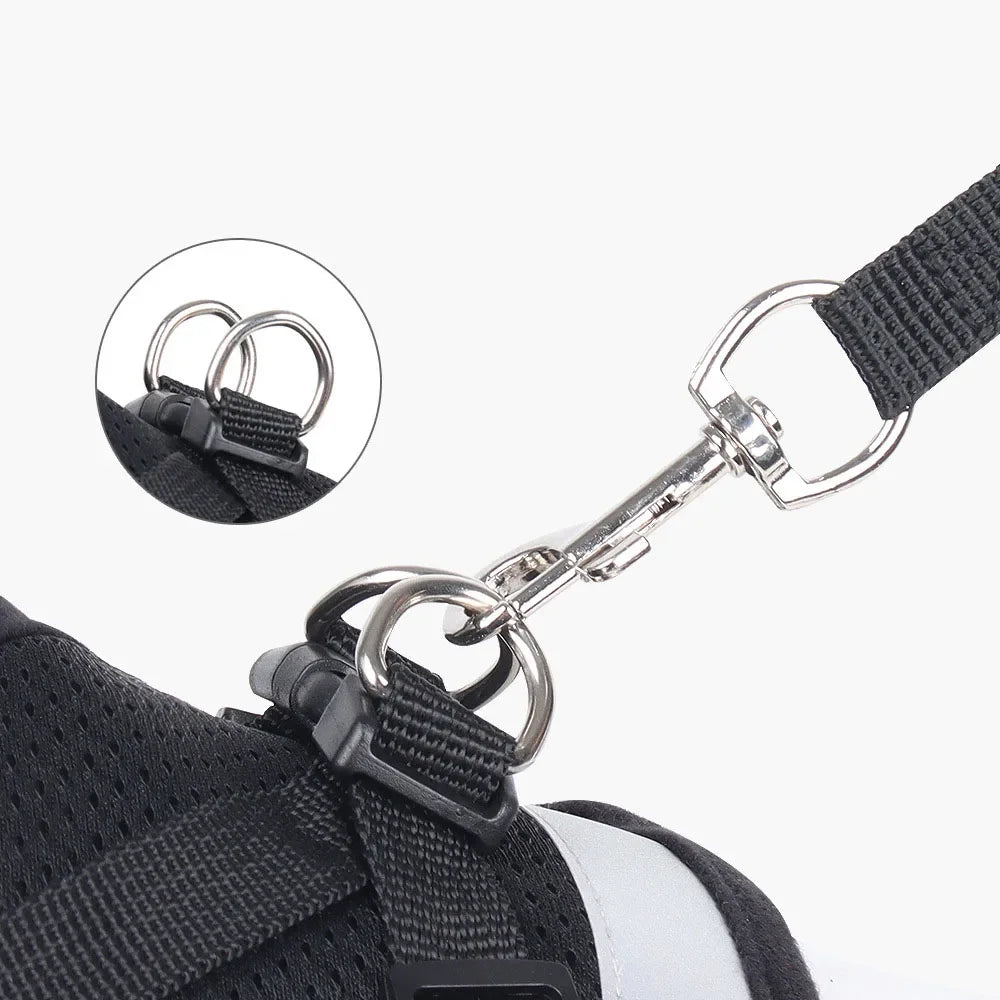 Harnais mesh réfléchissant avec laisse — ajustable pour chat