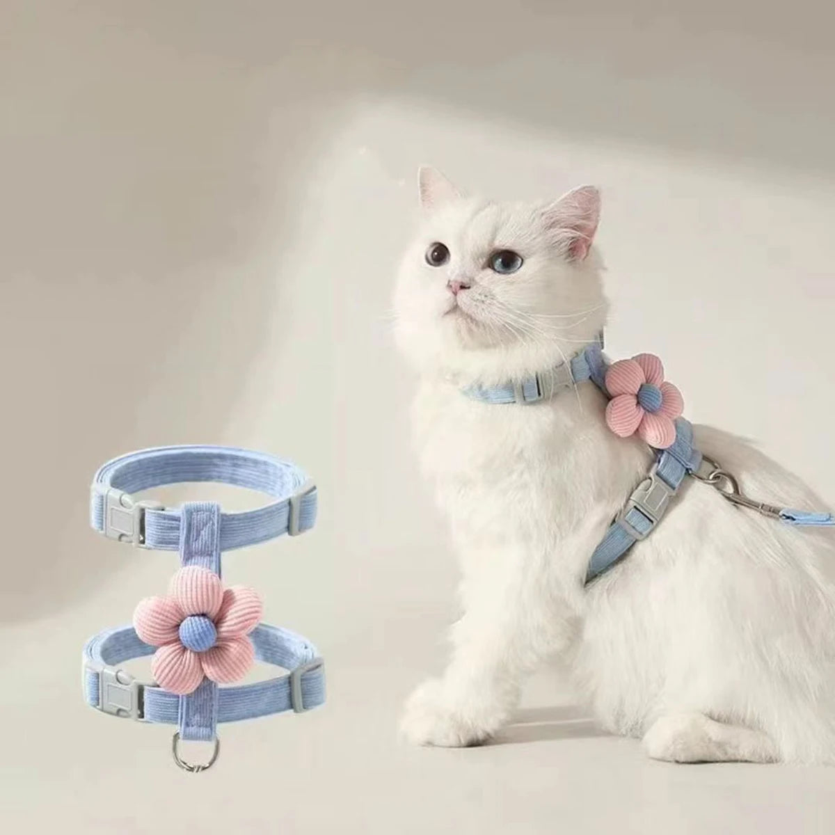 Kit harnais et laisse assortis pour chat