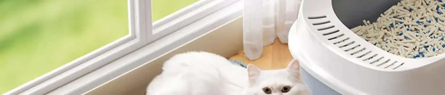 Tapis de litière double couche imperméable — anti-débordement pour chat