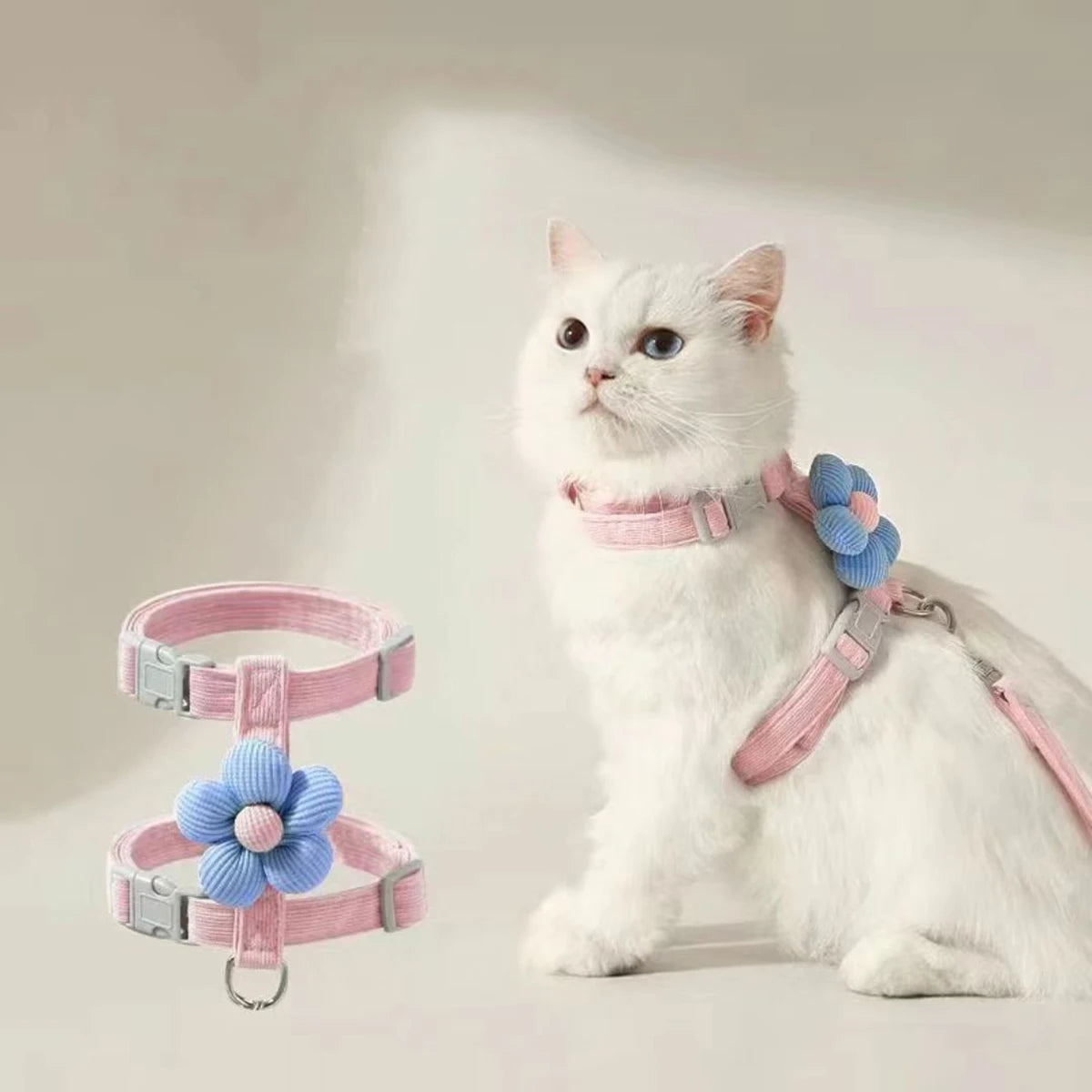 Kit harnais et laisse assortis pour chat