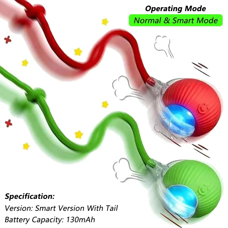 Balle électronique interactive rechargeable pour chat